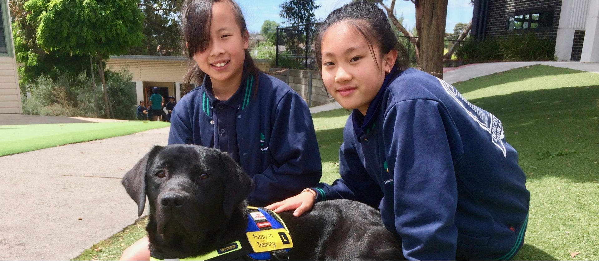 Doncaster Gardens Primary School